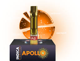 MAD LABS APOLLO